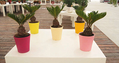 塑料工厂 塑业公司 专业 106短信平台 群发短信平台